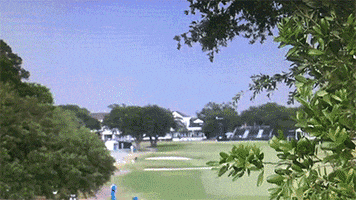 geramenredcross  GIF