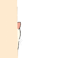 Cat Hello Sticker