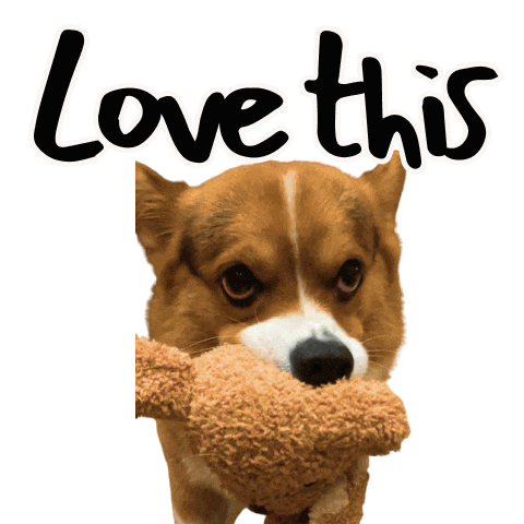 Corgi Love Sticker