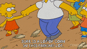 Lisa Simpson Episode 20 GIF by The Simpsons