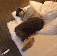Sleep Sleeping GIF