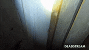 Soar Haunted House GIF by Deadstream