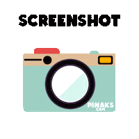 Pinaks save screenshot save for later pinaks Sticker