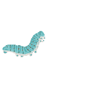 Caterpillar Sticker by Kyte BABY