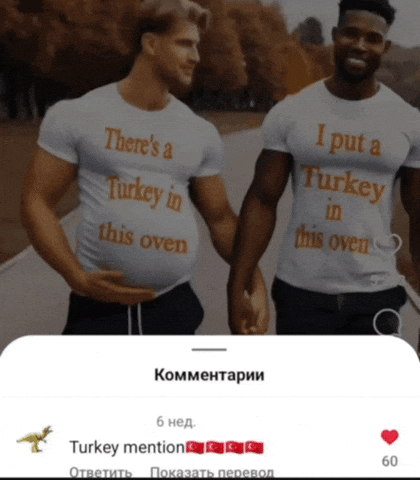 Turkey GIF