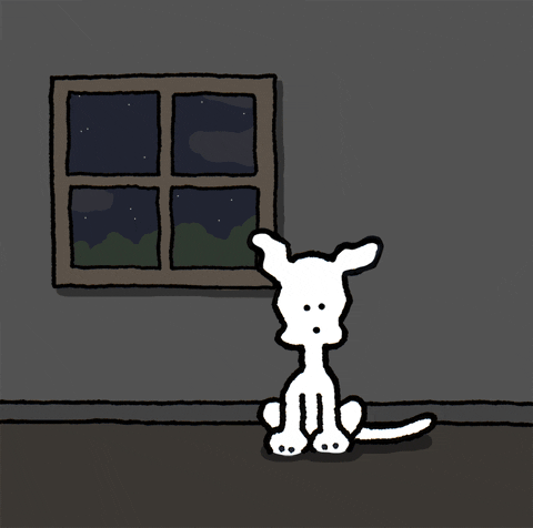 Trick Or Treat Halloween GIF by Chippy the Dog