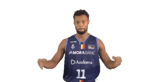 Liga Endesa Basketball Sticker by ACB