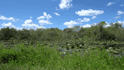 Climate Change Vocabulary GIF by DIIMSA Stock