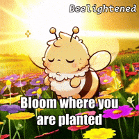 Flower Peace GIF by Beelightened