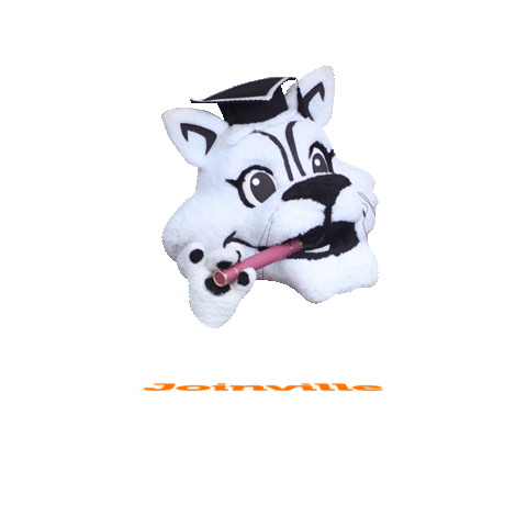 Festas Joinville Sticker by Ticomia Formaturas