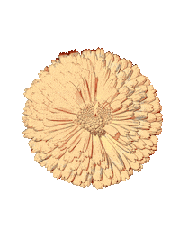 Flowers Boo Sticker by Riverslide Skatepark