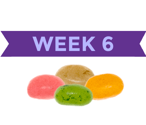 Pregnancy Baby Size Sticker by What to Expect