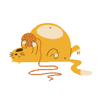 mayer_tamas cat animal night sleep Sticker
