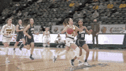Basketball Bison GIF by NDSU Athletics
