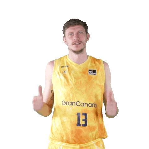 Liga Endesa Ok Sticker by ACB