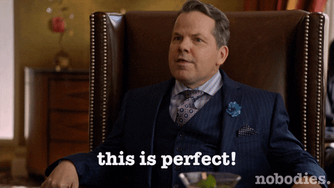 this is perfect tv land GIF by nobodies.