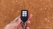 Driving Lets Go GIF by Namaste Car