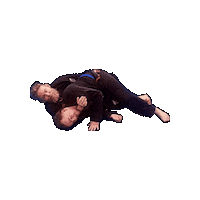 Ufc Grappling Sticker