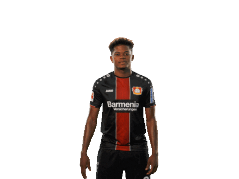 soccer bundesliga Sticker by Bayer 04 Leverkusen