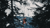 Glacier_3000 winter ski switzerland freeride GIF
