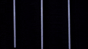 Cnmb GIF by Carson-Newman Athletics