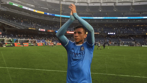 yankee stadium fans GIF by NYCFC