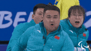 Paralympic Games GIF by International Paralympic Committee