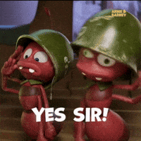 Yes Boss Maya GIF by S100Int