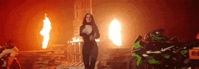 cardi b GIF by DJ Khaled