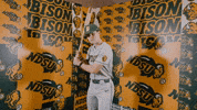 Baseball Bison GIF by NDSU Athletics
