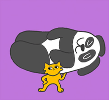 Cat weightlifting panda