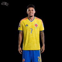 Fifa World Cup Colombia GIF by Respective