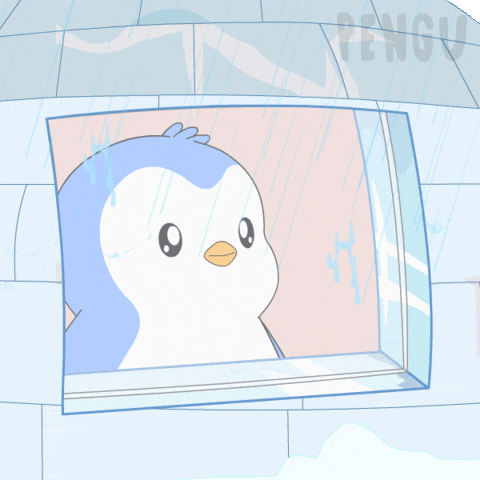 Look Looking GIF by Pudgy Penguins