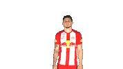 Patrick Farkas Sticker by FC Red Bull Salzburg