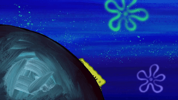 season 9 GIF by SpongeBob SquarePants