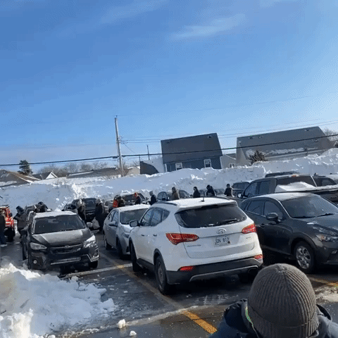 Long Lines Form as St John's Grocery Stores Reopen After Blizzard
