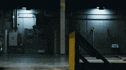 Zach Lavine Wtf GIF by Nike