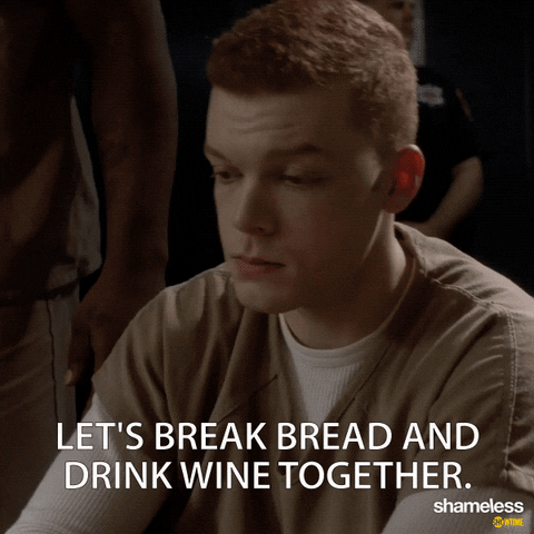 episode 1 showtime GIF by Shameless
