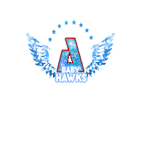 Cheer Cheerleader Sticker by AirbornAllstars