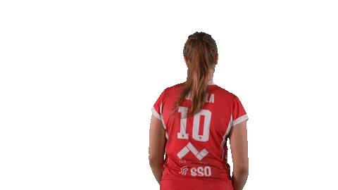 Sport Volleyball Sticker by LP Viesti