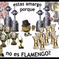 Flamengo GIF