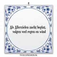 Wind Nl GIF by Tegelspreuken.nl