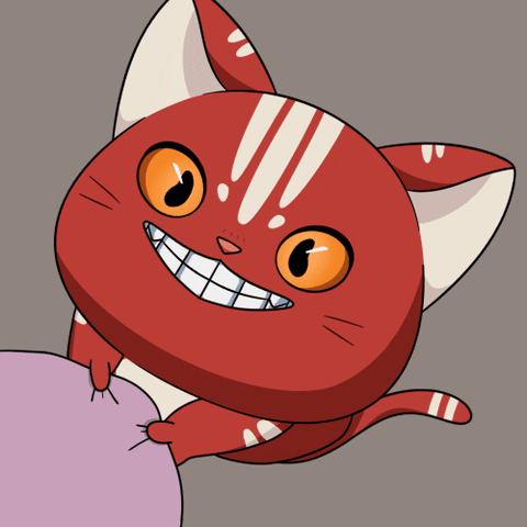 Give Me Cute Cat GIF by Kitaro World