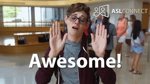 Awesome Hands GIF by ASL Connect