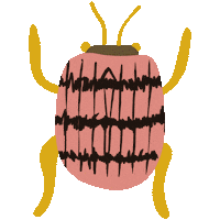 Star Sea Sticker by Compania Fantastica