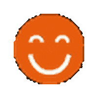 Feliz Smile Sticker by Instituto Caminhabilidade