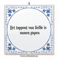 Humor Nl GIF by Tegelspreuken.nl