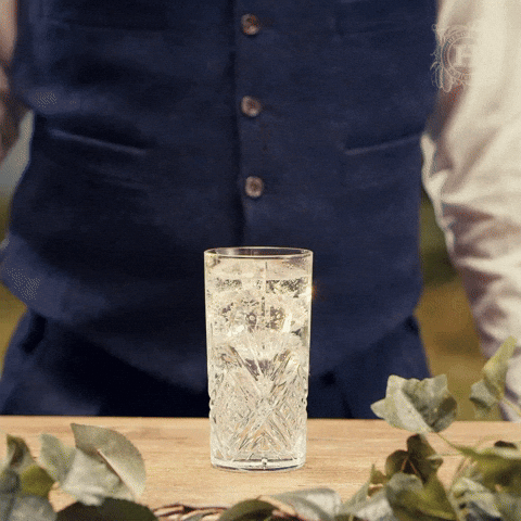 Weekend Bar GIF by HENDRICK'S GIN