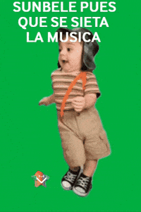 La Musica Feliz GIF by Murcianys LLC