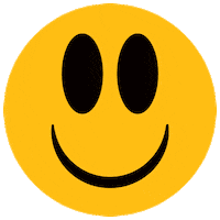 Smiley Face Smile Sticker